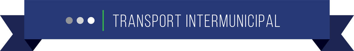 Transport intermunicipal